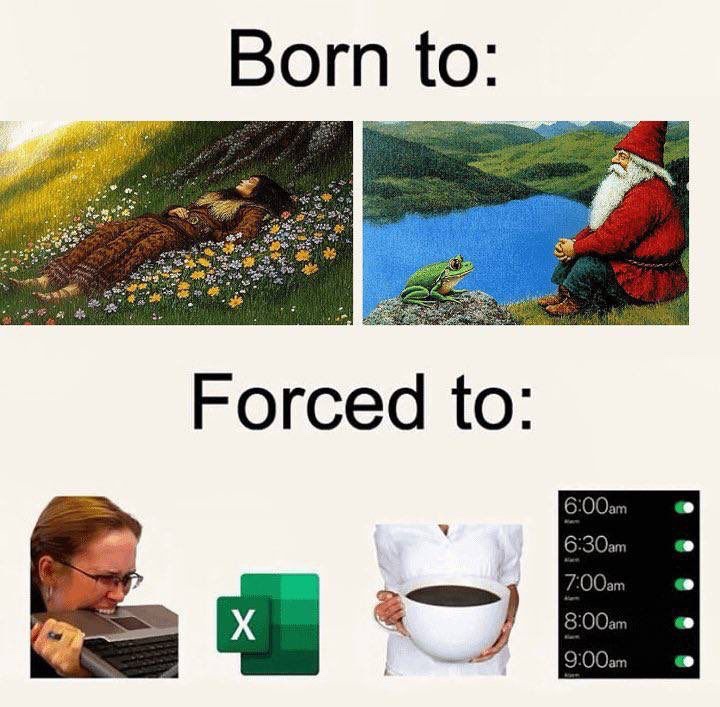 Memes