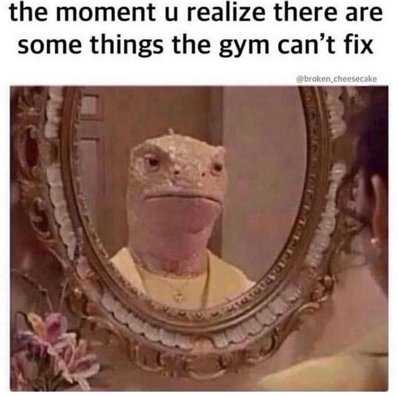 Memes