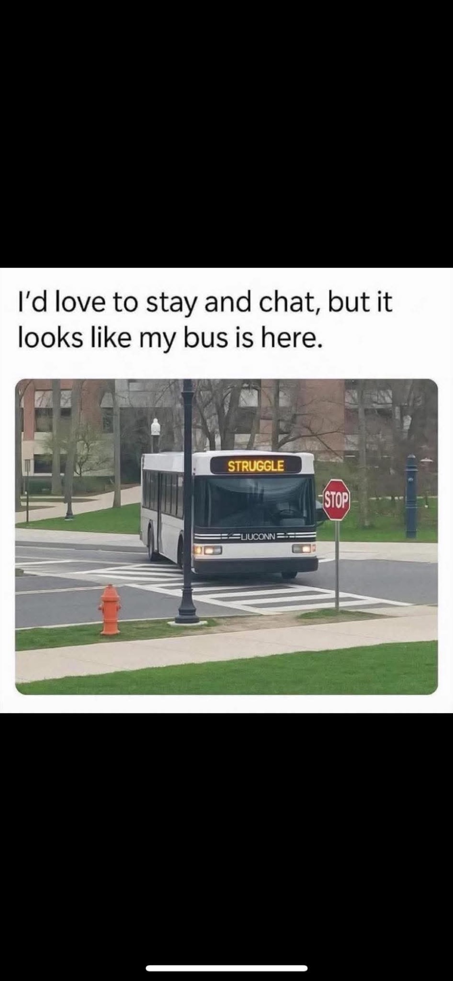 Memes