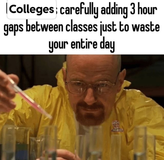 Memes