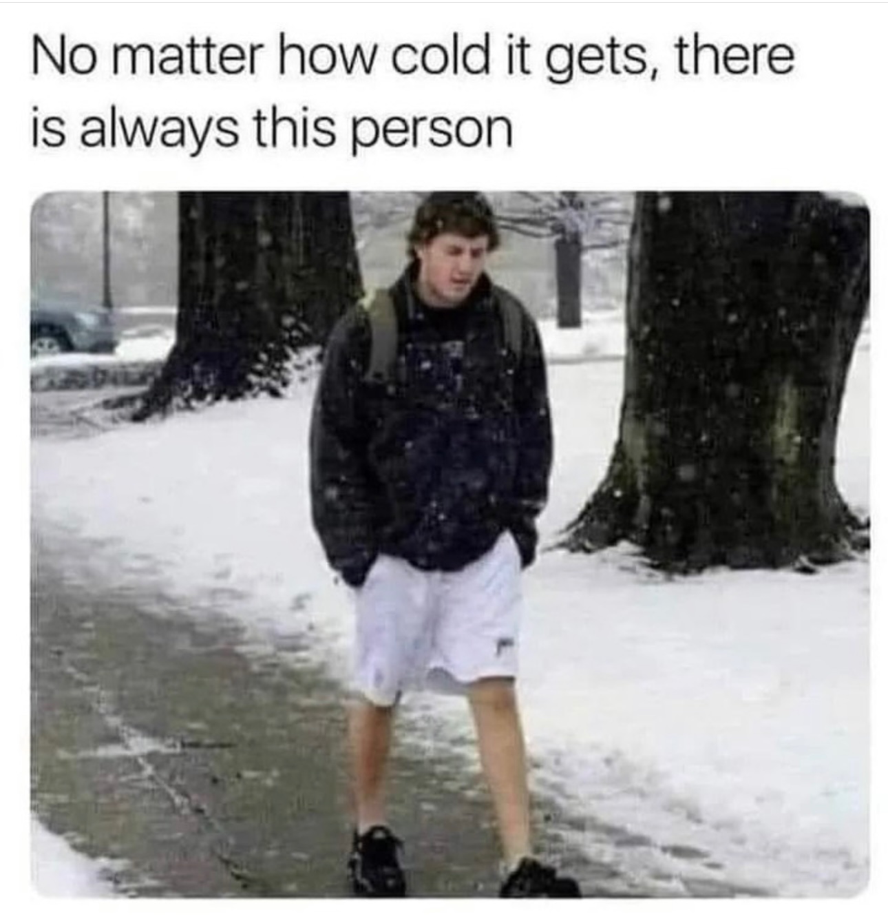 Memes