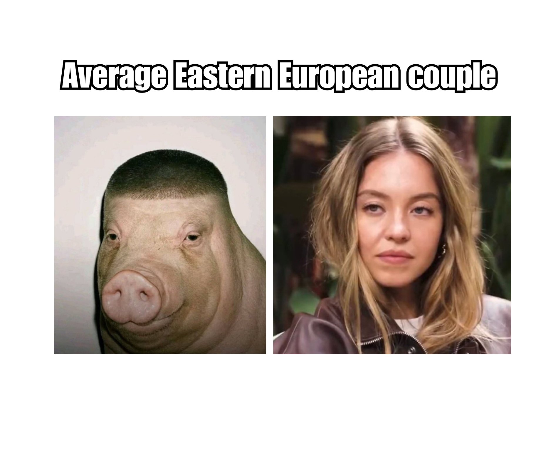 Memes by Favourly