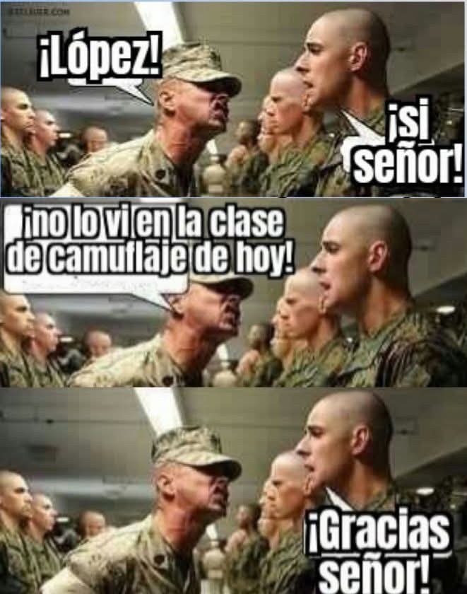 Memes (Español)