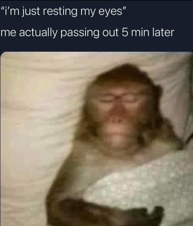 Memes