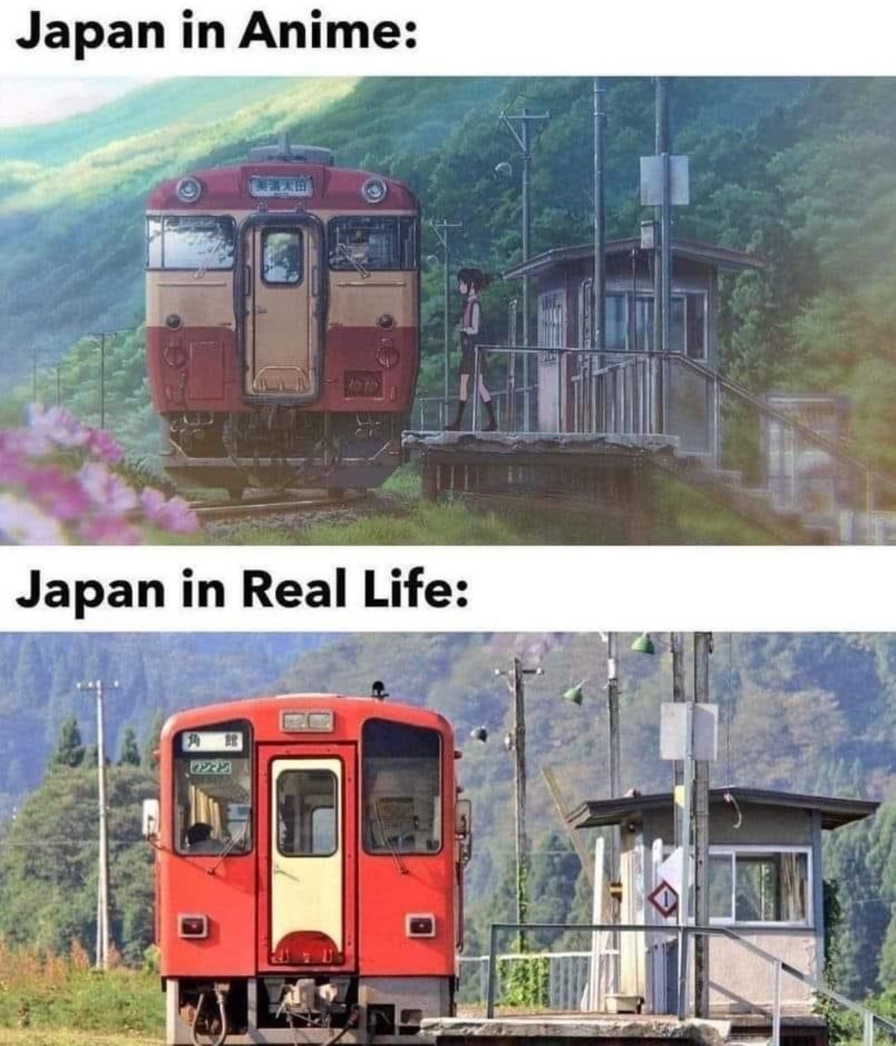 Memes