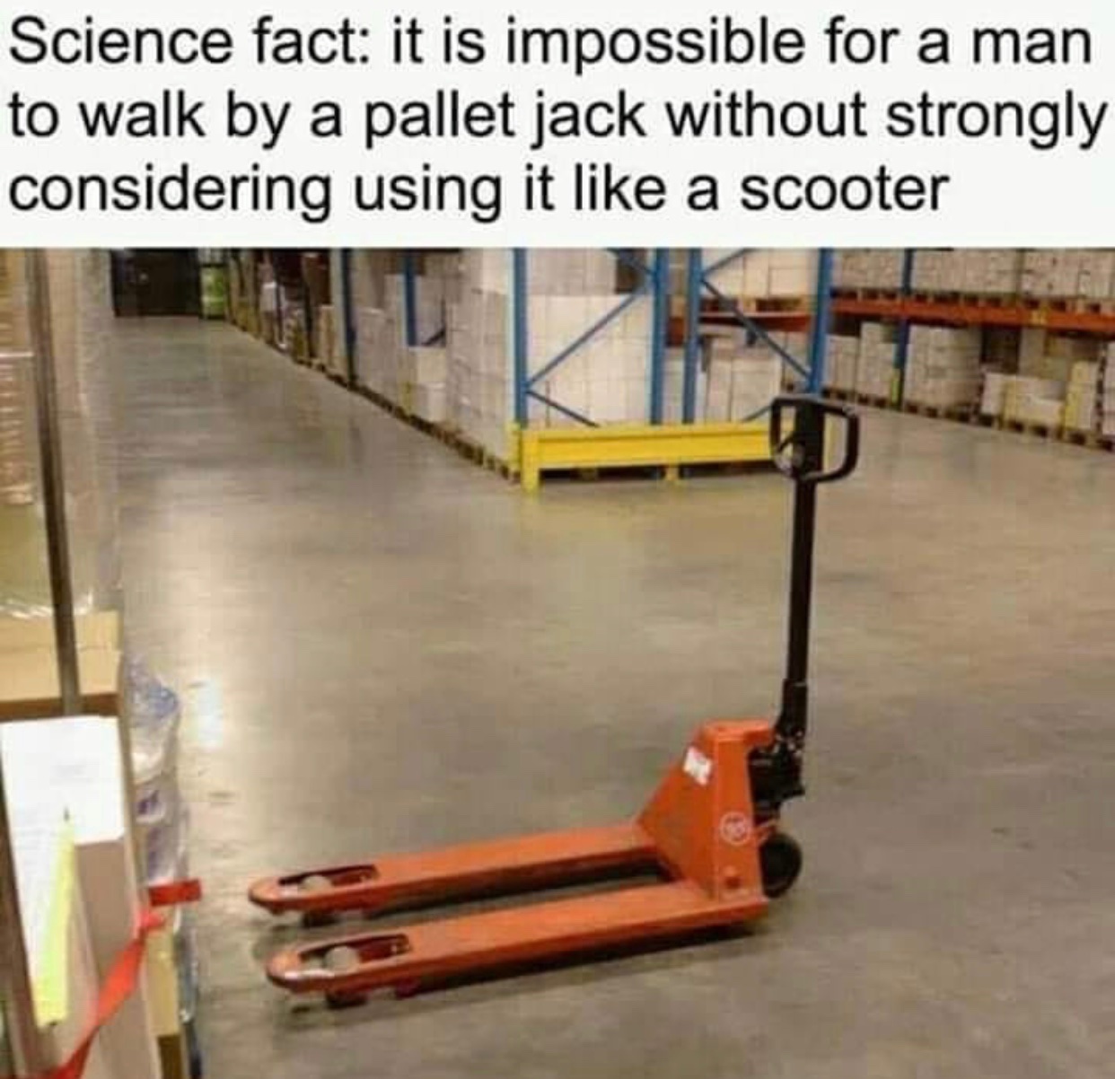 Memes