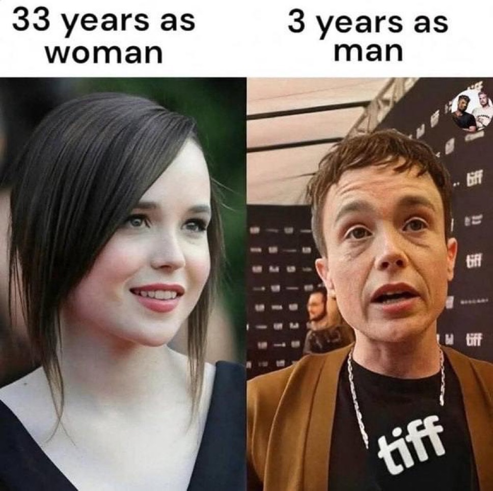 Memes