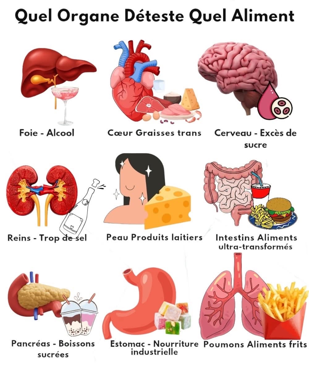 Quel organe déteste quel aliment?