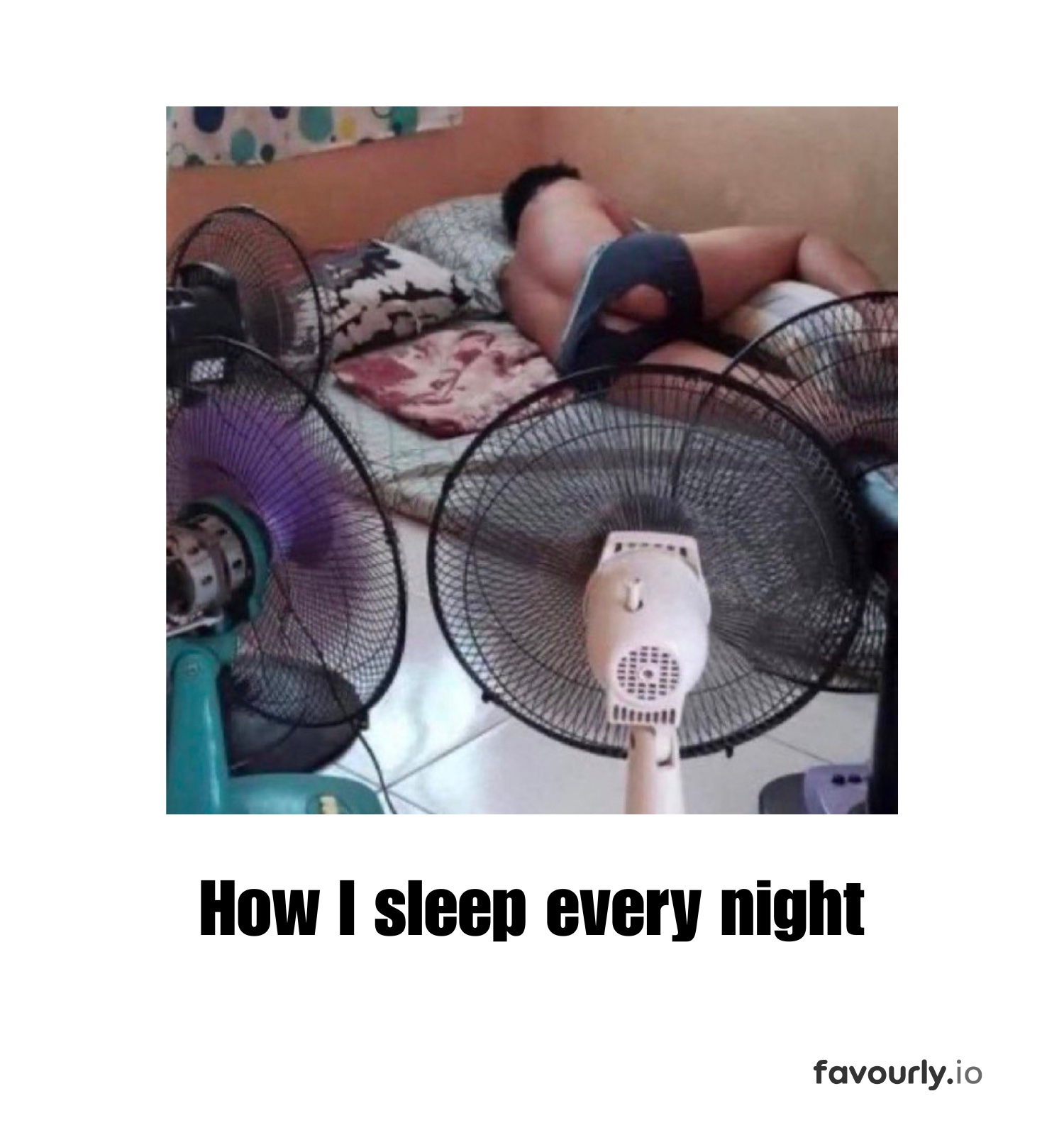 Memes by Favourly