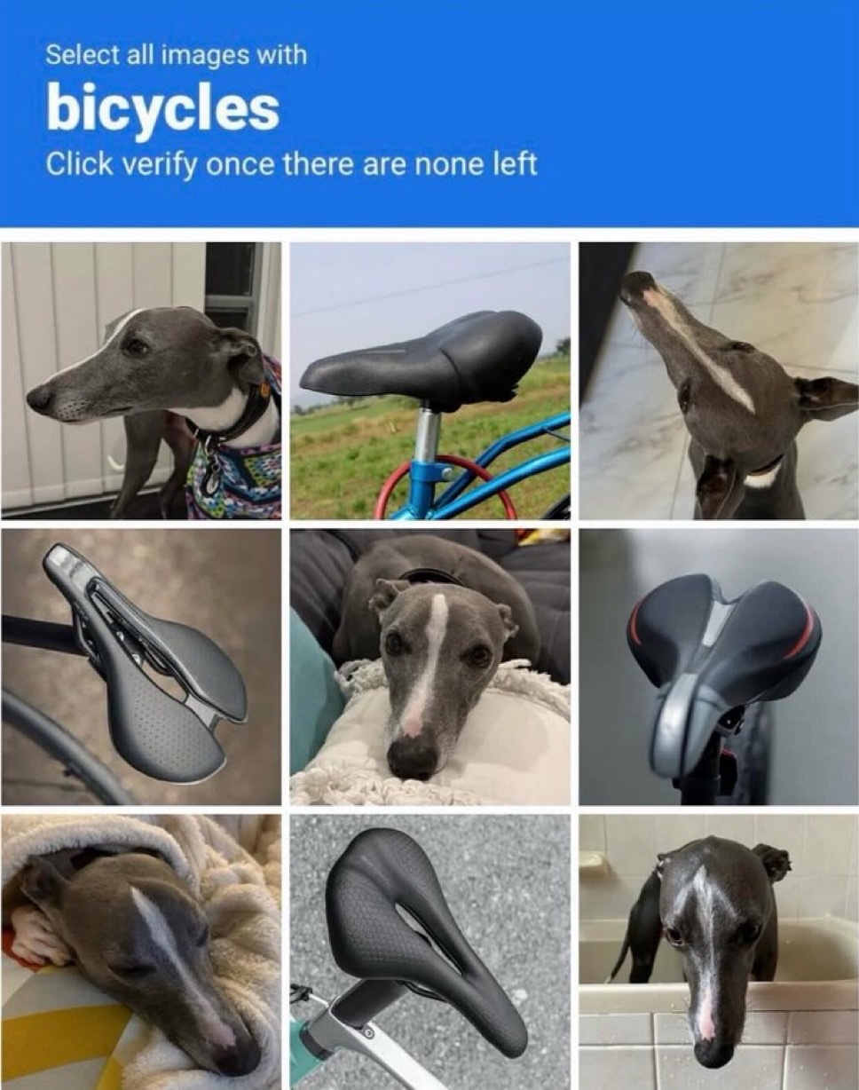 Memes