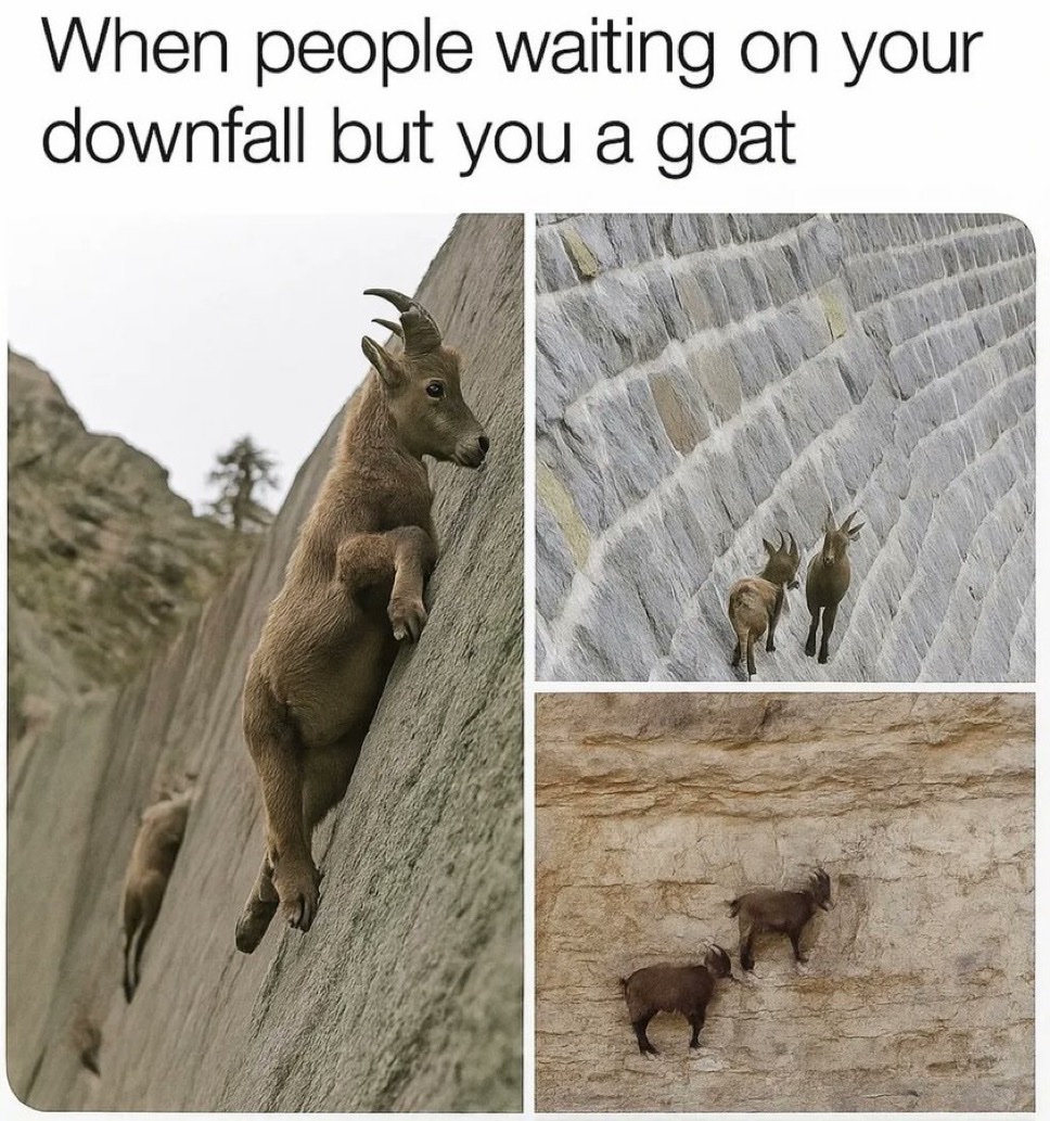 Memes