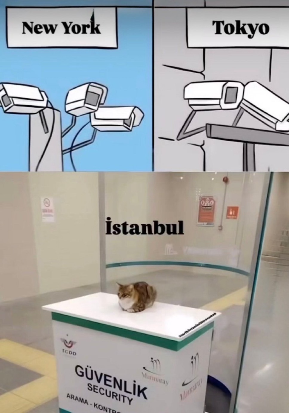 Memes