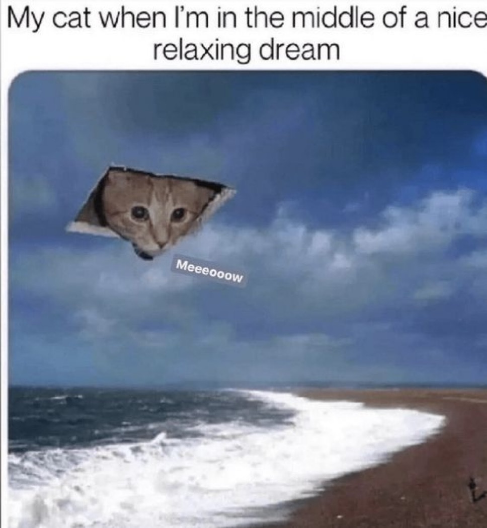 Memes