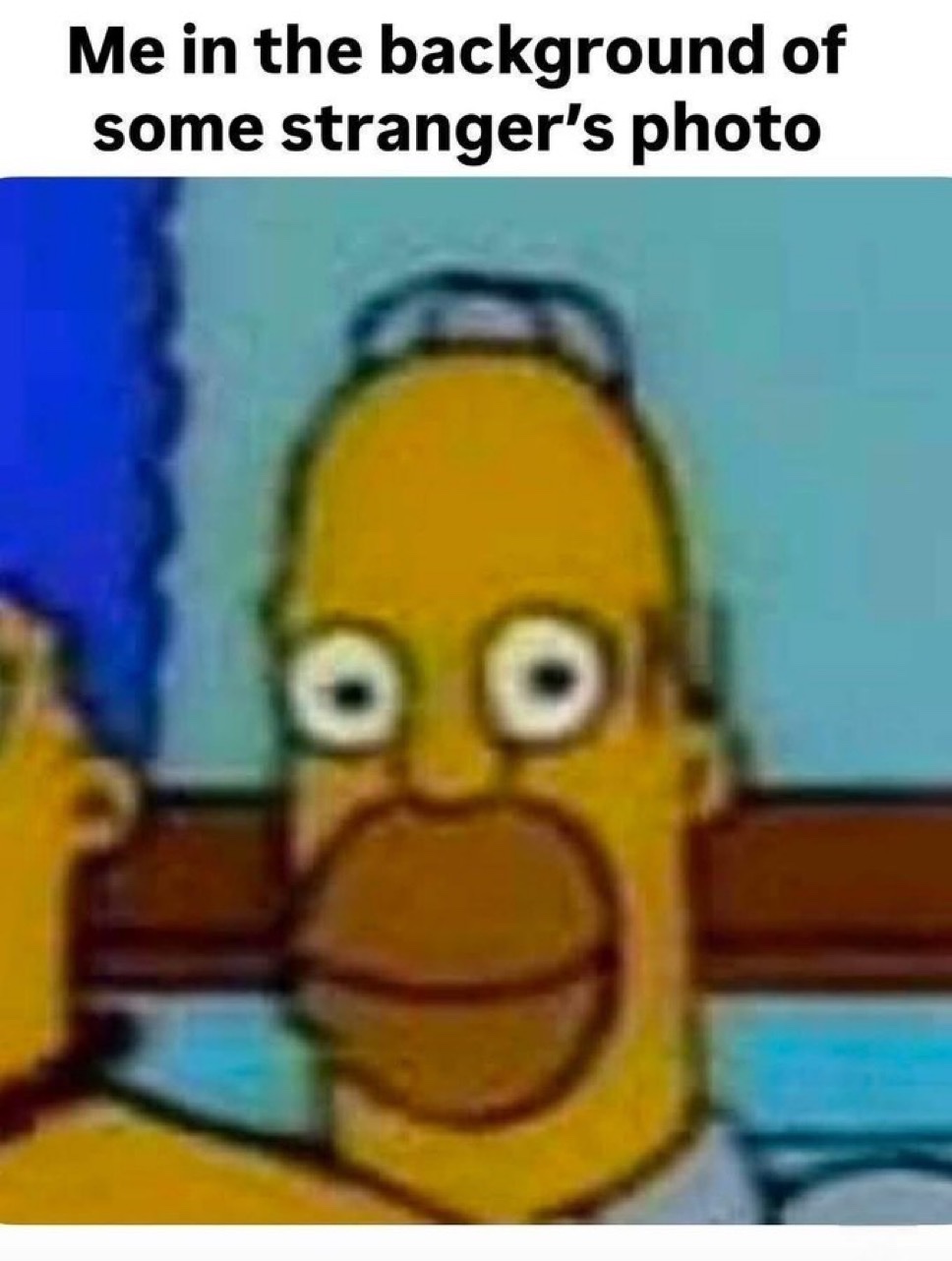 Memes
