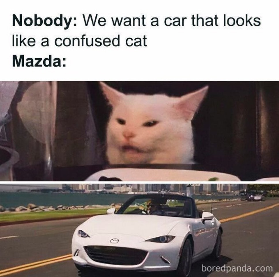 Memes