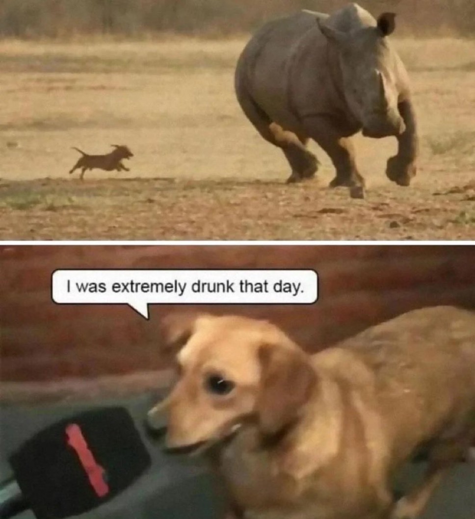 Memes