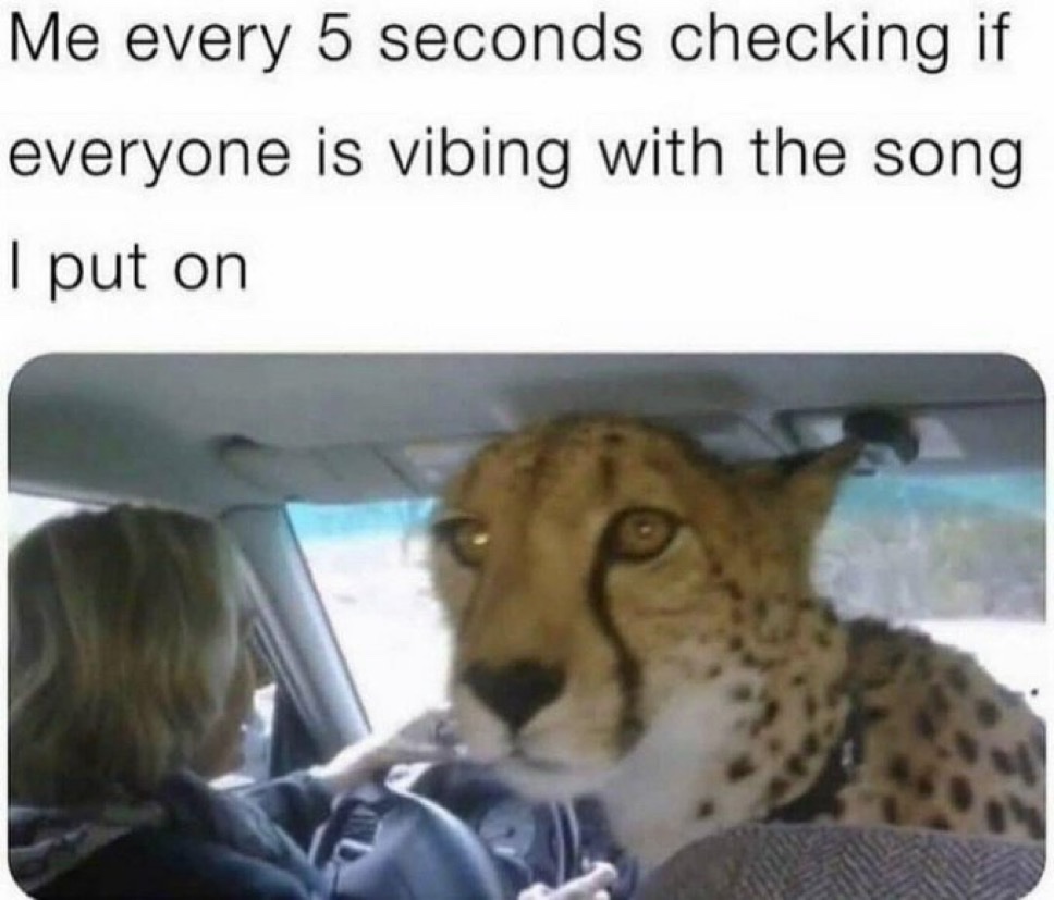 Memes