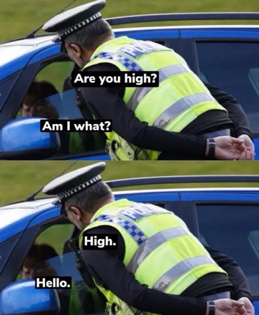 Memes