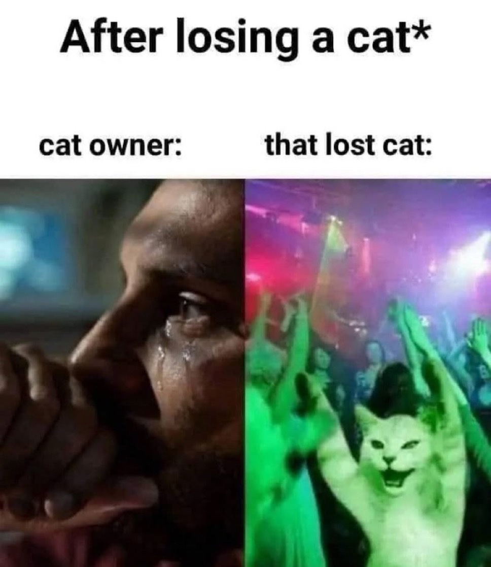upload-1764834256345.jpg