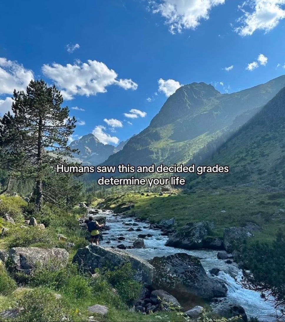 upload-1764896380479.jpg