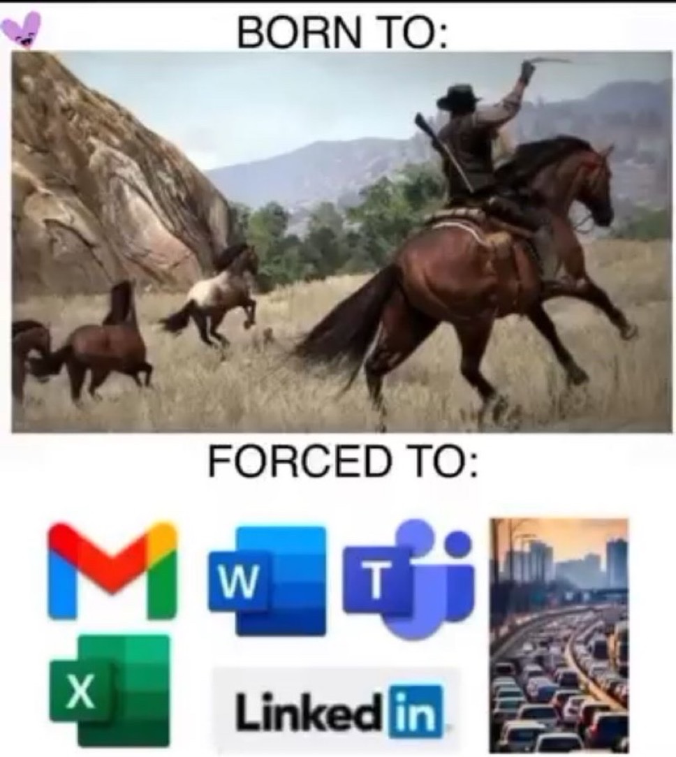 upload-1765116044243.jpg