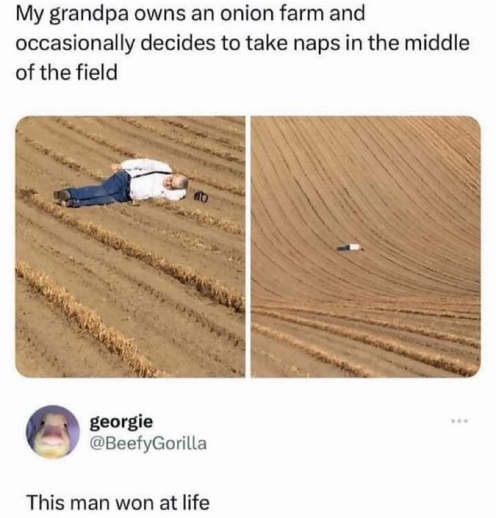 upload-1765285541435.jpg