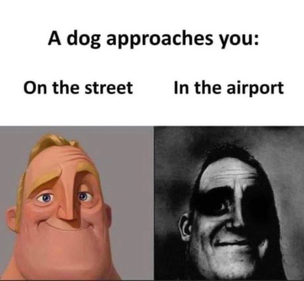 upload-1765423155874.jpg
