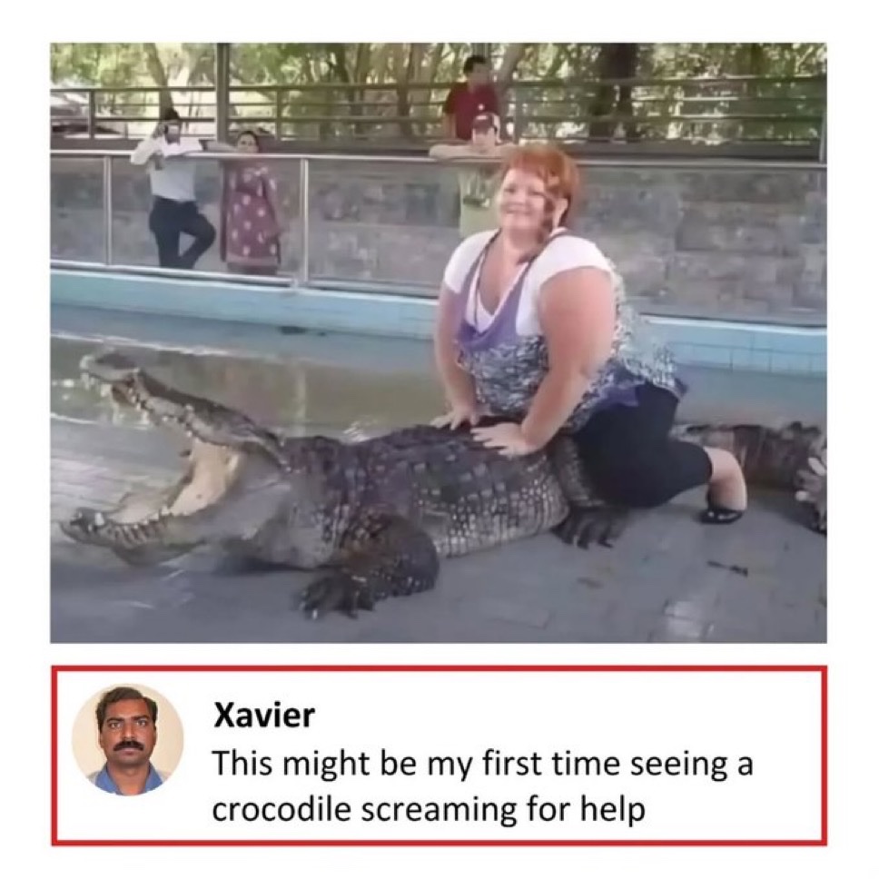 upload-1766195962712.jpg