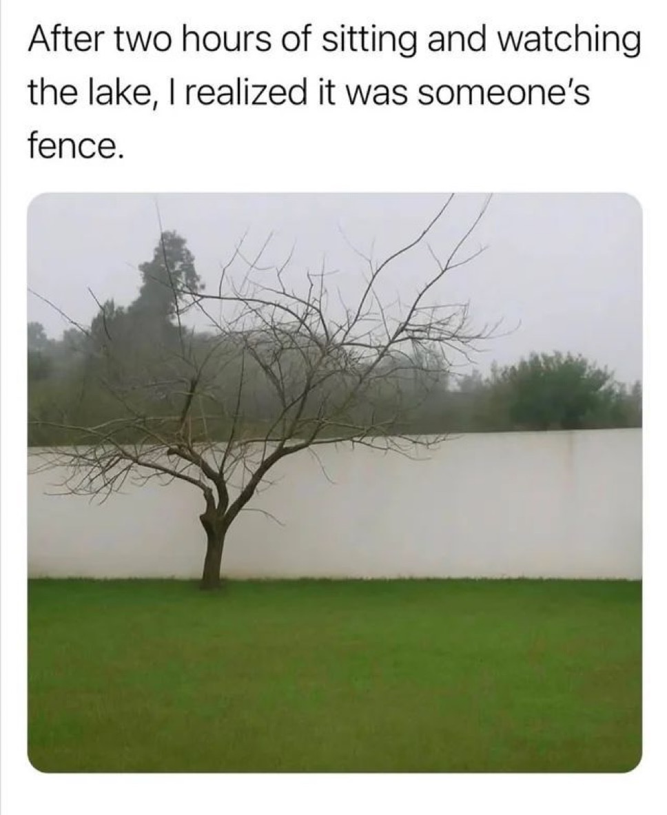 upload-1766250262623.jpg