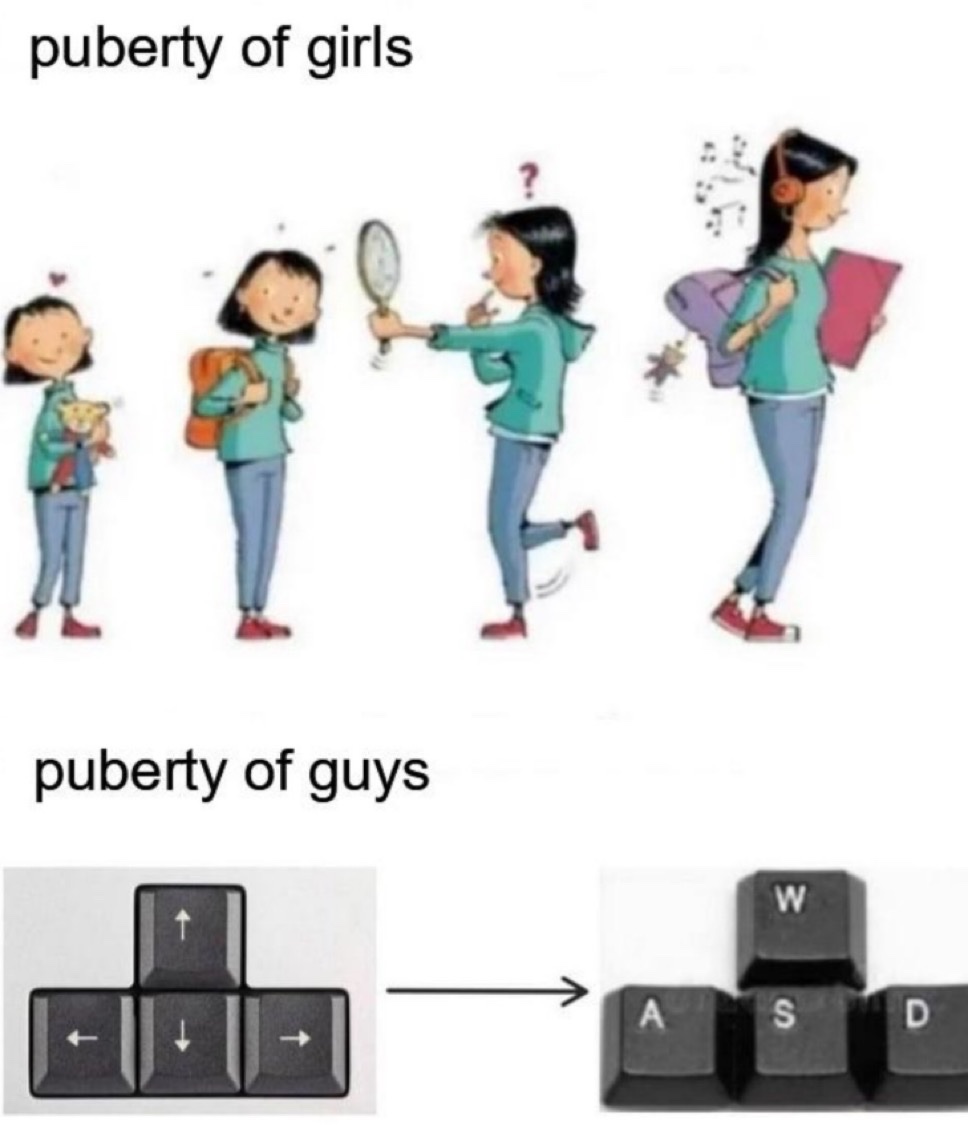 upload-1766436434115.jpg