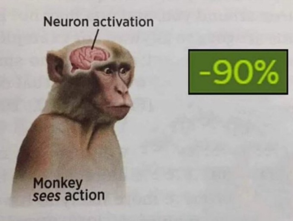 upload-1766545217591.jpg