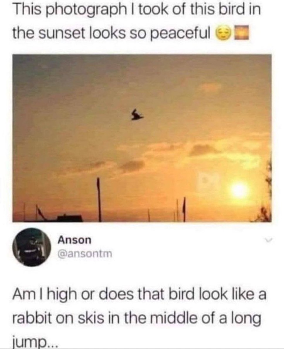 upload-1767179142694.jpg