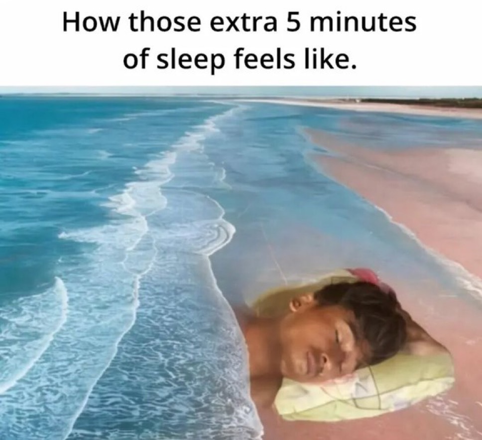 upload-1767752833906.jpg