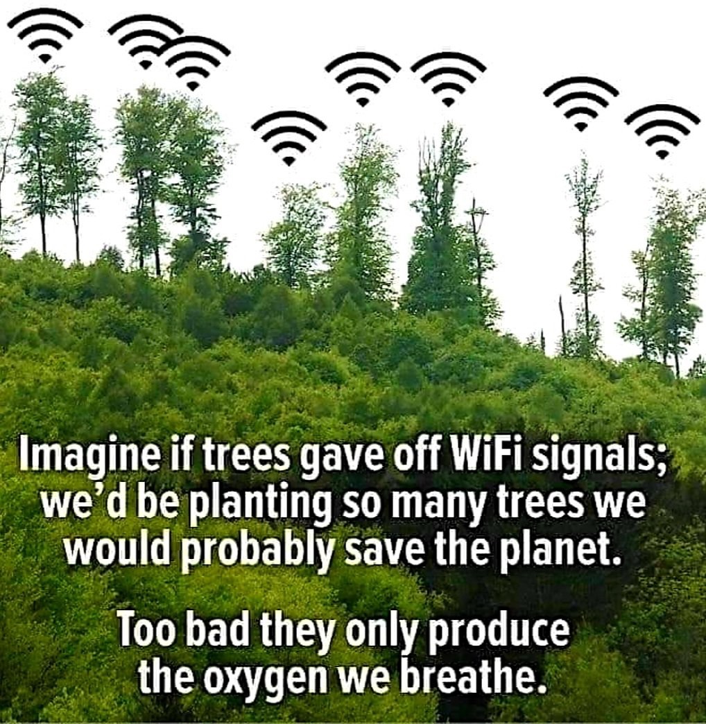 upload-1771367930819.jpg