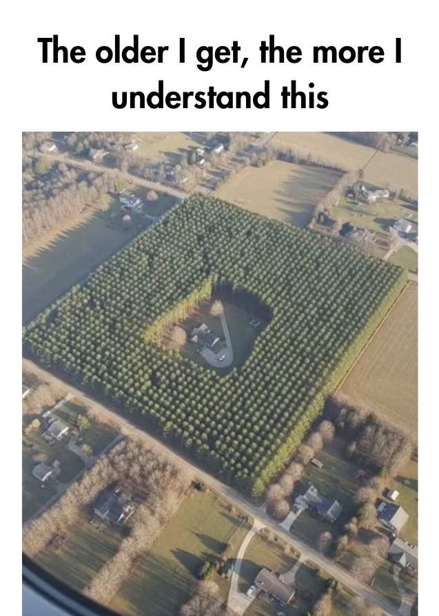 upload-1773791536882.jpg