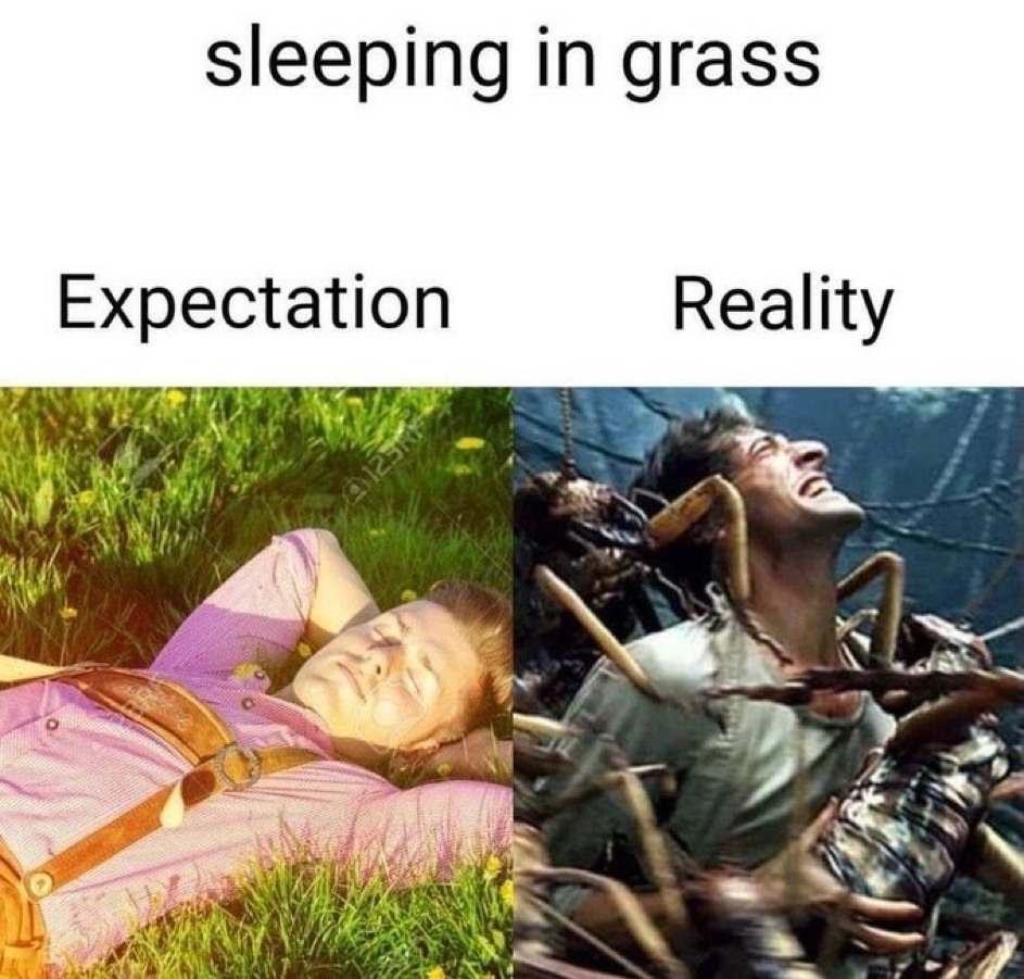 Memes