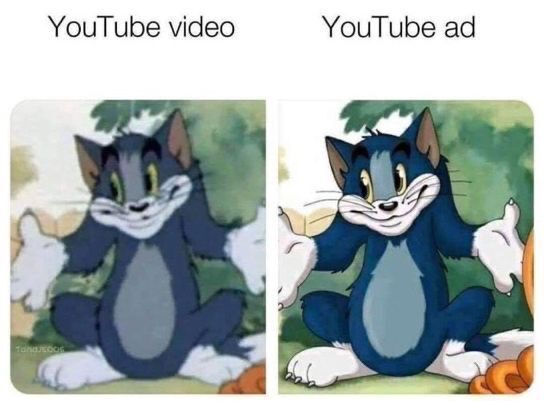 Tech Memes