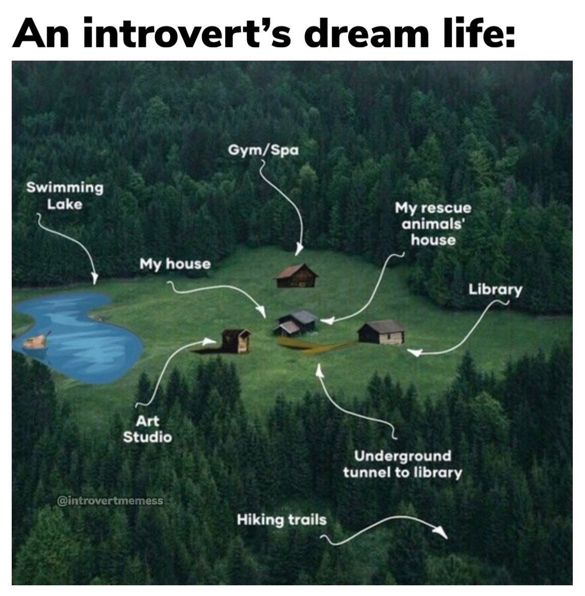Introverts memes