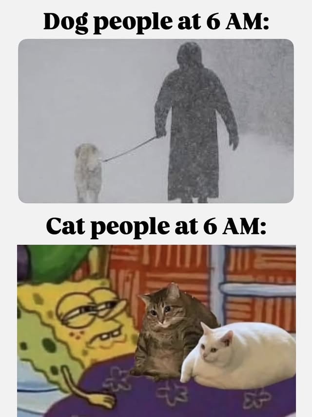 Memes