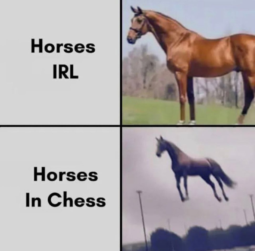 Memes