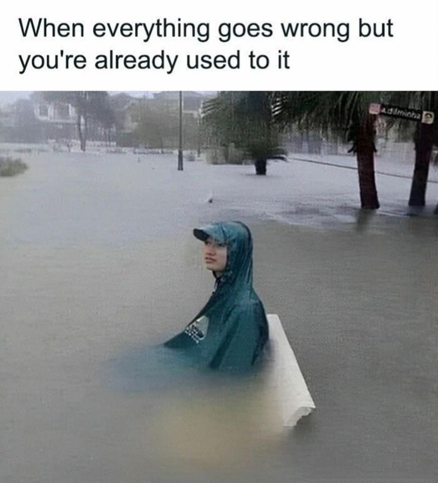 Memes
