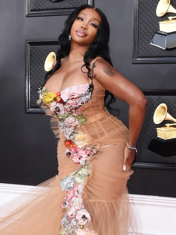 Sza Butt Enhacement Surgery Embed1