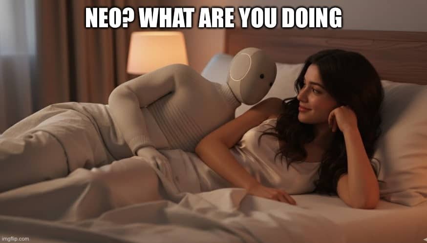 Robot Neo