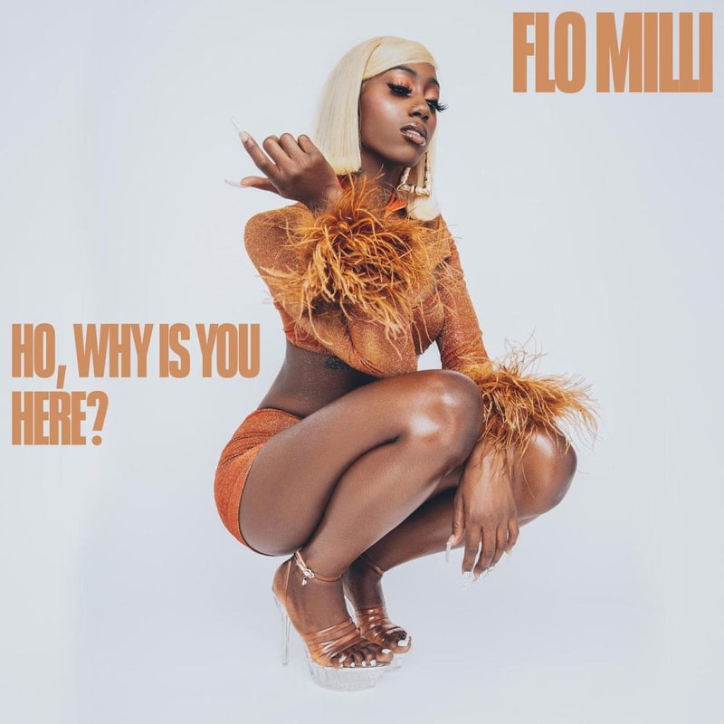 Ho Why Is You Here 1200x1200 Crop 1