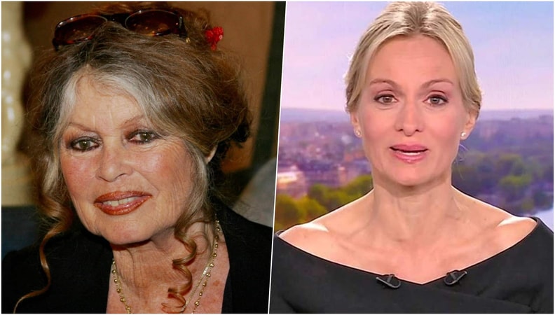 Mort de Brigitte Bardot : "Elle a quand même été condamnée six fois pour racisme…", Audrey Crespo Mara, la mise au point en direct dans le JT de TF1
